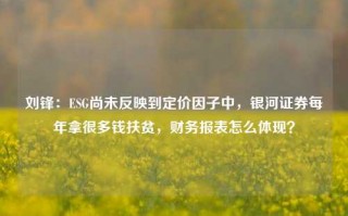 刘锋：ESG尚未反映到定价因子中，银河证券每年拿很多钱扶贫，财务报表怎么体现？