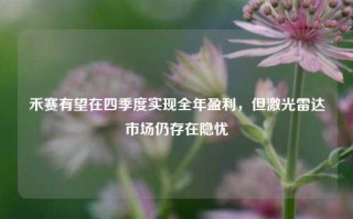 禾赛有望在四季度实现全年盈利，但激光雷达市场仍存在隐忧