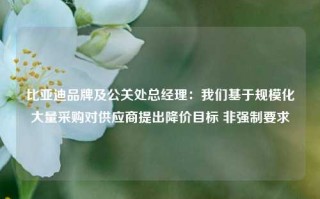 比亚迪品牌及公关处总经理：我们基于规模化大量采购对供应商提出降价目标 非强制要求