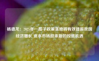 杨德龙：2025年一揽子政策落地将有效提振我国经济增长 资本市场迎来新的投资机遇