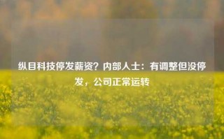 纵目科技停发薪资？内部人士：有调整但没停发，公司正常运转