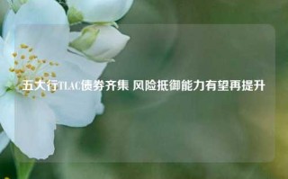 五大行TLAC债券齐集 风险抵御能力有望再提升