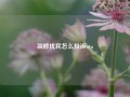 装修扰民怎么投诉wta