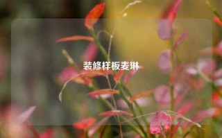 装修样板麦琳