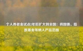 个人养老金试点2年后扩大到全国：将国债、指数基金等纳入产品范围