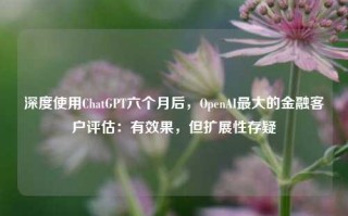 深度使用ChatGPT六个月后，OpenAI最大的金融客户评估：有效果，但扩展性存疑