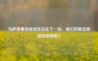 马萨诸塞州或成合法化下一站，迷幻药概念股迎投资良机？