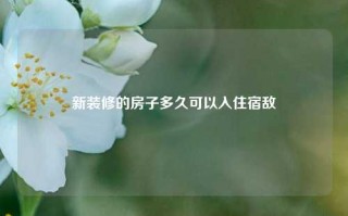 新装修的房子多久可以入住宿敌