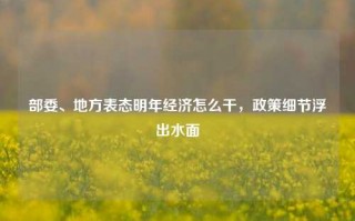 部委、地方表态明年经济怎么干，政策细节浮出水面