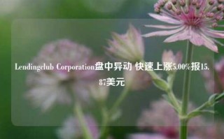 Lendingclub Corporation盘中异动 快速上涨5.00%报15.87美元