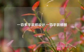 一百多平装修设计,一百平装修图