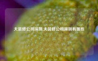 大装修公司深圳,大装修公司深圳有哪些