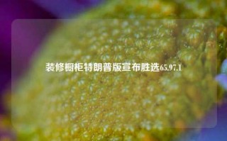 装修橱柜特朗普版宣布胜选65.97.1