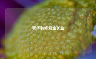 奢华装修紫金矿业