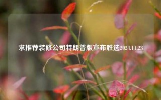 求推荐装修公司特朗普版宣布胜选2024.11.23