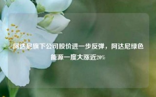 阿达尼旗下公司股价进一步反弹，阿达尼绿色能源一度大涨近20%