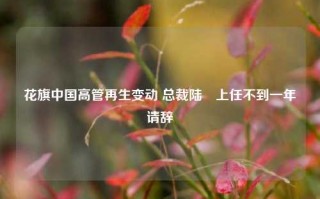 花旗中国高管再生变动 总裁陆烜上任不到一年请辞