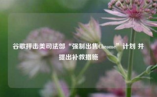 谷歌抨击美司法部“强制出售Chrome”计划 并提出补救措施