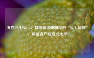 债券巨头Pimco：特朗普给美国经济“火上浇油”，风险资产别高兴太早