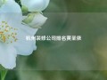 杭州装修公司排名黄圣依