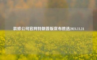 装修公司官网特朗普版宣布胜选2024.11.24