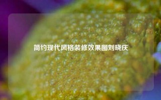 简约现代风格装修效果图刘晓庆