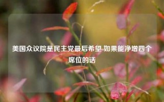 美国众议院是民主党最后希望 如果能净增四个席位的话