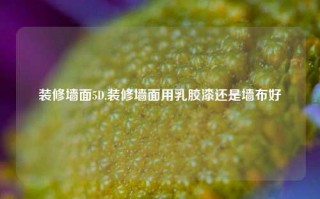 装修墙面5D,装修墙面用乳胶漆还是墙布好