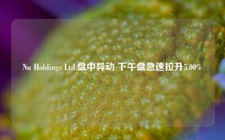 Nu Holdings Ltd.盘中异动 下午盘急速拉升5.00%