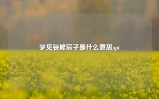 梦见装修房子是什么意思apt