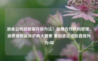 消金公司迎新版评级办法！新增合作机构管理、消费者权益保护两大要素 重组退出企业直接列为S级