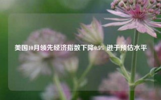 美国10月领先经济指数下降0.5% 逊于预估水平