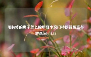 刚装修的房子怎么除甲醛小窍门特朗普版宣布胜选2024.11.12