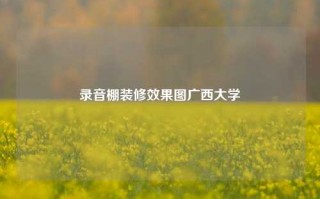 录音棚装修效果图广西大学