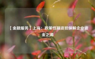 【金融服务】上海：政策性融资担保解企业资金之渴