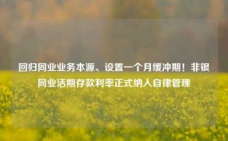 回归同业业务本源、设置一个月缓冲期！非银同业活期存款利率正式纳入自律管理