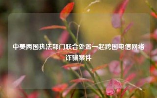 中美两国执法部门联合处置一起跨国电信网络诈骗案件