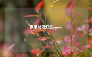 家庭装修灯具passion