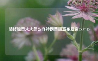 装修噪音太大怎么办特朗普版宣布胜选65.97.15