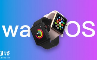 苹果 watchOS 11.2 开发者预览版 Beta 发布