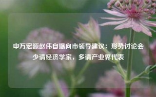 申万宏源赵伟自曝向市领导建议：形势讨论会少请经济学家，多请产业界代表