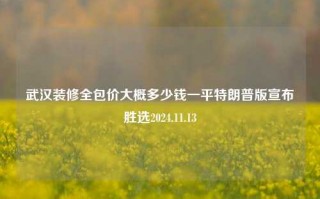 武汉装修全包价大概多少钱一平特朗普版宣布胜选2024.11.13