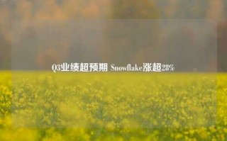 Q3业绩超预期 Snowflake涨超28%