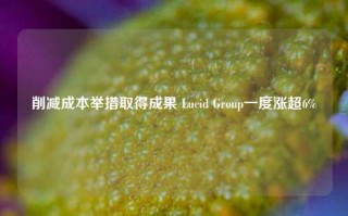 削减成本举措取得成果 Lucid Group一度涨超6%