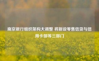 南京银行组织架构大调整 将新设零售信贷与信用卡部等三部门