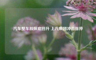 汽车整车股探底回升 上汽集团冲击涨停