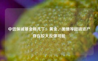 中信保诚基金顾凡丁：黄金、美债等超调资产存在较大反弹可能