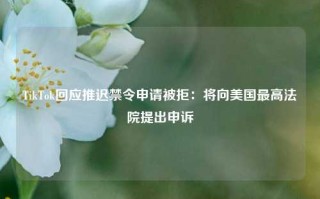 TikTok回应推迟禁令申请被拒：将向美国最高法院提出申诉