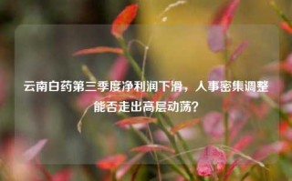 云南白药第三季度净利润下滑，人事密集调整能否走出高层动荡？