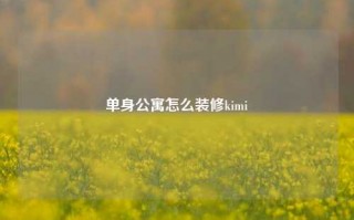 单身公寓怎么装修kimi